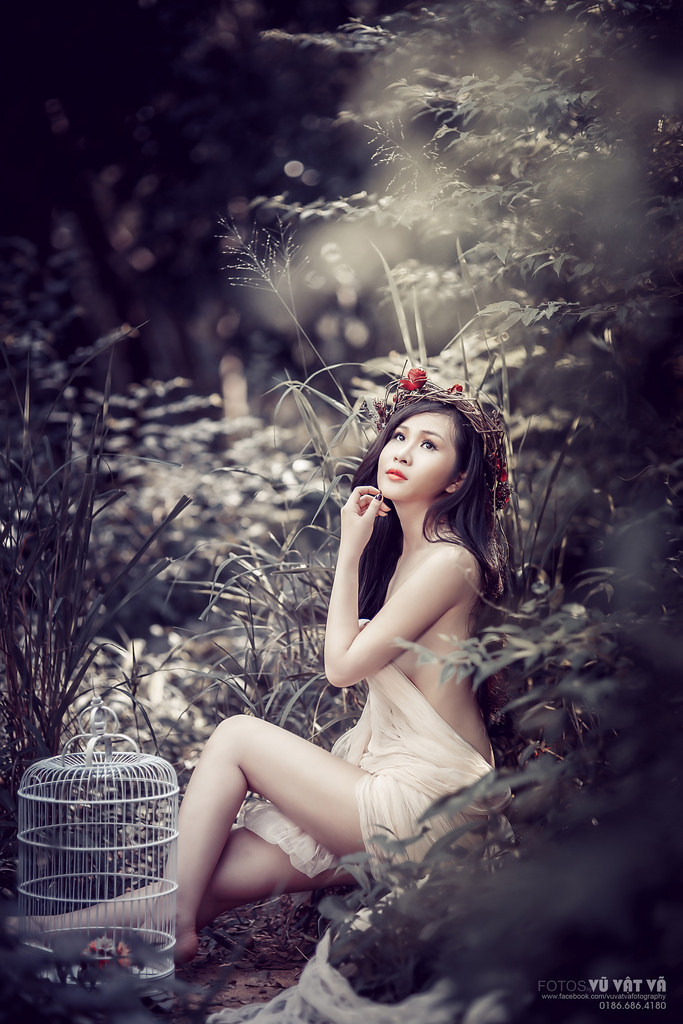 变态小说视频